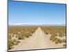 The track RN 38. Landscape near the salt flats Salar Salinas Grandes in the Altiplano, Argentina.-Martin Zwick-Mounted Photographic Print
