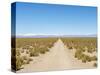 The track RN 38. Landscape near the salt flats Salar Salinas Grandes in the Altiplano, Argentina.-Martin Zwick-Stretched Canvas