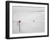 The Track-Eva Mårtensson-Framed Photographic Print