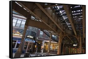 The Tracks of the Blue Line Elevated Train in Wicker Park, Chicago-Alan Klehr-Framed Stretched Canvas