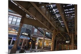 The Tracks of the Blue Line Elevated Train in Wicker Park, Chicago-Alan Klehr-Mounted Premium Photographic Print