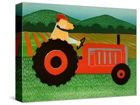 The Tractor-Stephen Huneck-Stretched Canvas