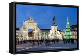 The traditional Christmas tree at Terreiro do Paco, the historic centre of Lisbon. Portugal-Mauricio Abreu-Framed Stretched Canvas