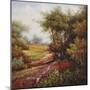 The Trail Home-Rhes-Mounted Art Print