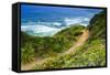 The Trail to Sand Dollar Beach, Los Padres National Forest, Big Sur, California, Usa-Russ Bishop-Framed Stretched Canvas