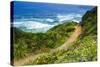 The Trail to Sand Dollar Beach, Los Padres National Forest, Big Sur, California, Usa-Russ Bishop-Stretched Canvas