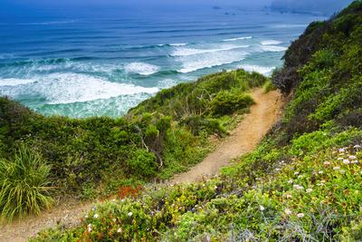 https://imgc.allpostersimages.com/img/posters/the-trail-to-sand-dollar-beach-los-padres-national-forest-big-sur-california-usa_u-L-Q13C6EA0.jpg?artPerspective=n