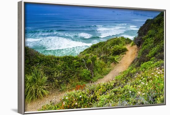 The Trail to Sand Dollar Beach, Los Padres National Forest, Big Sur, California, Usa-Russ Bishop-Framed Photographic Print