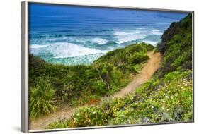 The Trail to Sand Dollar Beach, Los Padres National Forest, Big Sur, California, Usa-Russ Bishop-Framed Photographic Print