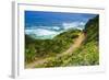 The Trail to Sand Dollar Beach, Los Padres National Forest, Big Sur, California, Usa-Russ Bishop-Framed Photographic Print