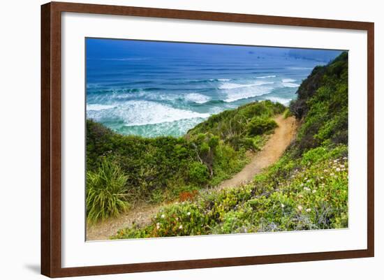 The Trail to Sand Dollar Beach, Los Padres National Forest, Big Sur, California, Usa-Russ Bishop-Framed Photographic Print