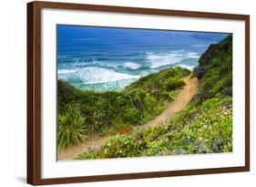 The Trail to Sand Dollar Beach, Los Padres National Forest, Big Sur, California, Usa-Russ Bishop-Framed Photographic Print