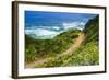 The Trail to Sand Dollar Beach, Los Padres National Forest, Big Sur, California, Usa-Russ Bishop-Framed Photographic Print