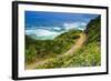 The Trail to Sand Dollar Beach, Los Padres National Forest, Big Sur, California, Usa-Russ Bishop-Framed Photographic Print