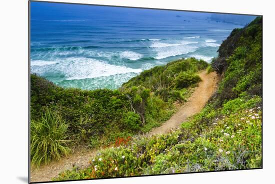 The Trail to Sand Dollar Beach, Los Padres National Forest, Big Sur, California, Usa-Russ Bishop-Mounted Photographic Print