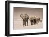 The Trail-Ali Khataw-Framed Photographic Print