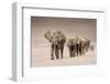 The Trail-Ali Khataw-Framed Photographic Print