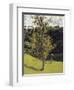 The Train in the Country-Claude Monet-Framed Premium Giclee Print