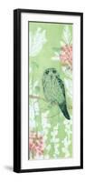 The Tranquil Tawny Frog Mouth-Trudy Rice-Framed Art Print