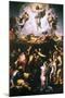 The Transfiguration, C1519-1520-Raphael-Mounted Giclee Print