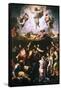 The Transfiguration, C1519-1520-Raphael-Framed Stretched Canvas