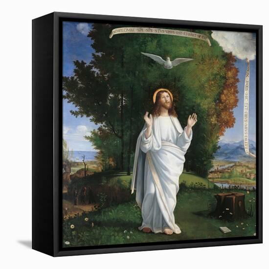 The Transfiguration-Andrea Previtali-Framed Stretched Canvas