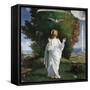 The Transfiguration-Andrea Previtali-Framed Stretched Canvas