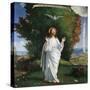 The Transfiguration-Andrea Previtali-Stretched Canvas