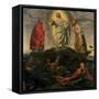 The Transfiguration-Giovanni Girolamo Savoldo-Framed Stretched Canvas