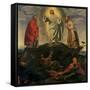 The Transfiguration-Giovanni Girolamo Savoldo-Framed Stretched Canvas