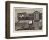 The Transit of Venus, Model Used for Practice at Greenwich Observatory-null-Framed Giclee Print