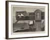 The Transit of Venus, Model Used for Practice at Greenwich Observatory-null-Framed Giclee Print