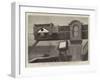 The Transit of Venus, Model Used for Practice at Greenwich Observatory-null-Framed Giclee Print