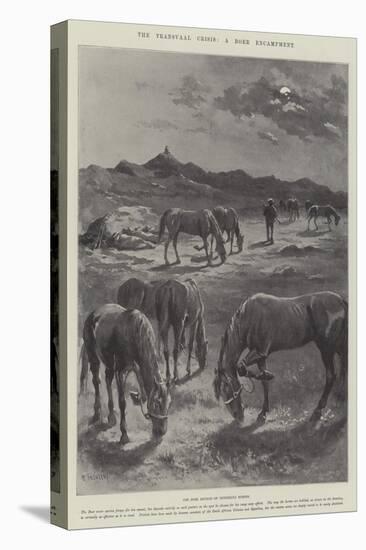 The Transvaal Crisis, a Boer Encampment-Paul Frenzeny-Stretched Canvas