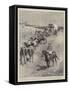 The Transvaal Crisis, the Exodus of British Subjects from Boer Territory-Walter Stanley Paget-Framed Stretched Canvas