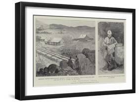 The Transvaal Crisis-Henry Charles Seppings Wright-Framed Giclee Print
