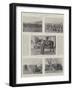 The Transvaal War, Defenders of Natal-null-Framed Giclee Print