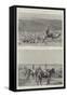 The Transvaal War, Scenes at the Front-null-Framed Stretched Canvas