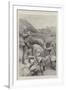 The Transvaal War, Scenes at the Front-null-Framed Giclee Print