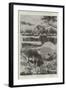 The Transvaal War, Scenes at Various Points of Operation-Joseph Holland Tringham-Framed Giclee Print
