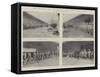 The Transvaal War, the Seaforth Highlanders at Cape Town-null-Framed Stretched Canvas