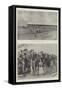 The Transvaal War-Charles Auguste Loye-Framed Stretched Canvas