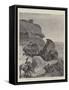 The Transvaal War-Henry Charles Seppings Wright-Framed Stretched Canvas