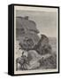 The Transvaal War-Henry Charles Seppings Wright-Framed Stretched Canvas