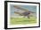 The Travel-Air Biplane-null-Framed Art Print