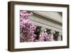 The Treasury Department Building in Washington, D.C., United States of America, North America-John Woodworth-Framed Photographic Print