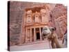 The Treasury, Petra, Jordan-Michele Falzone-Stretched Canvas