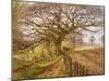 The Tree, 1861-John Milne Donald-Mounted Giclee Print