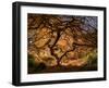 The tree 3-Moises Levy-Framed Giclee Print