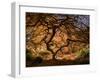 The tree 3-Moises Levy-Framed Giclee Print